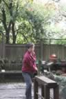 IMG_2505-01.jpg (1,086kb)